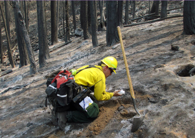 Nearly 40 percent of Rim Fire land a moonscape  