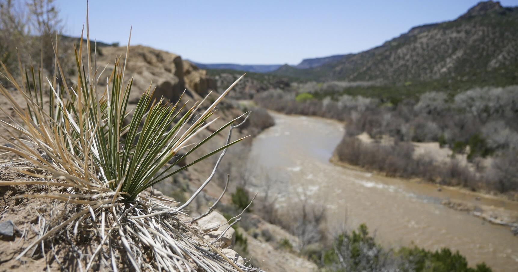 Rio Grande deal with Texas would call for more efficiency in New Mexico - Vimarsana News