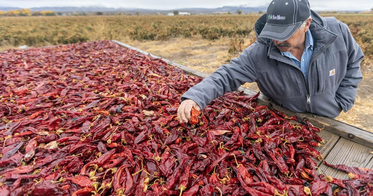 Water-stressed, compact-bound: New Mexico farmers face grim Rio Grande future