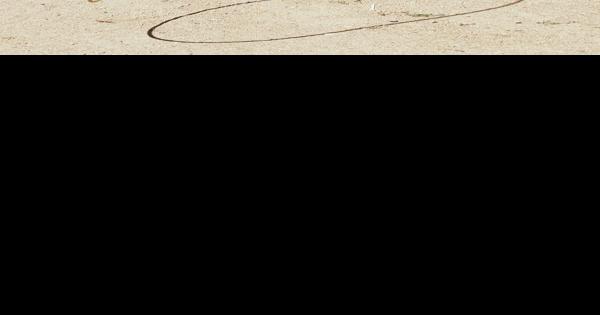 Clowns, bullfighters the unsung heroes of Rodeo de Santa Fe | Sports