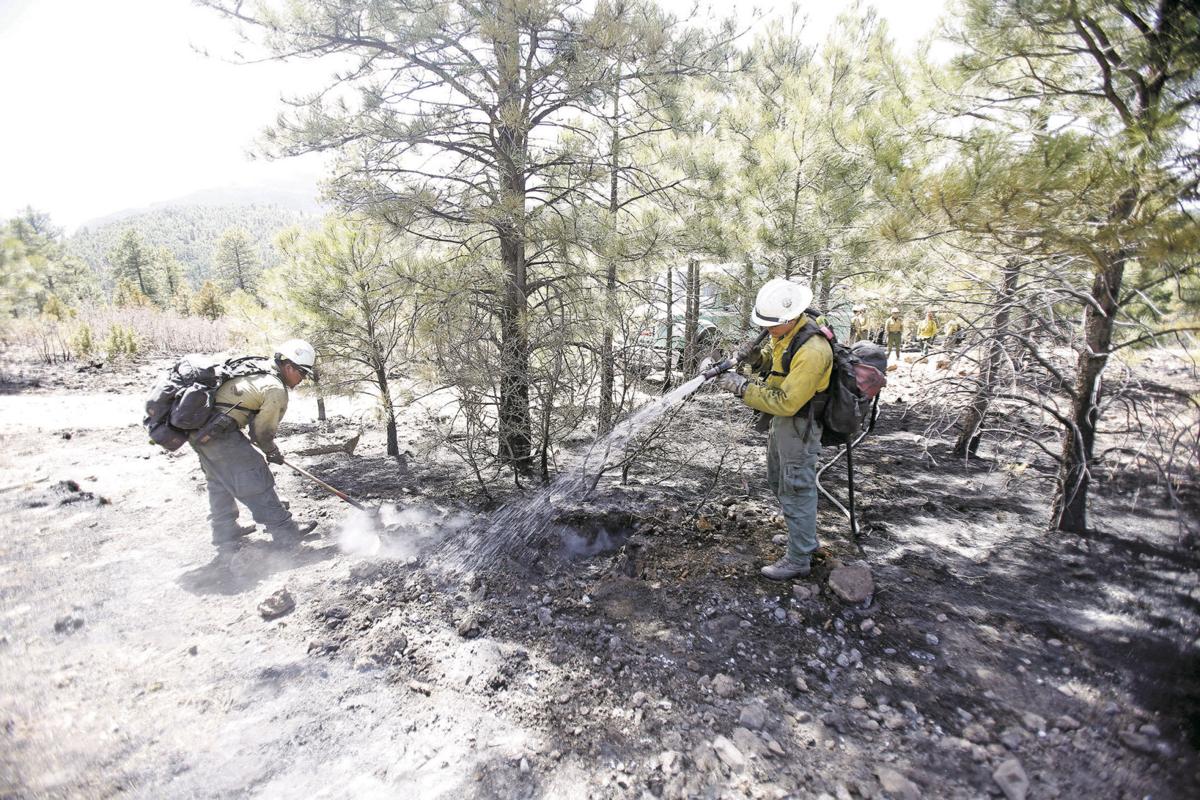 Wildland Firefighters Prep For New Guidelines To Protect Against Virus Spread Coronavirus Santafenewmexican Com