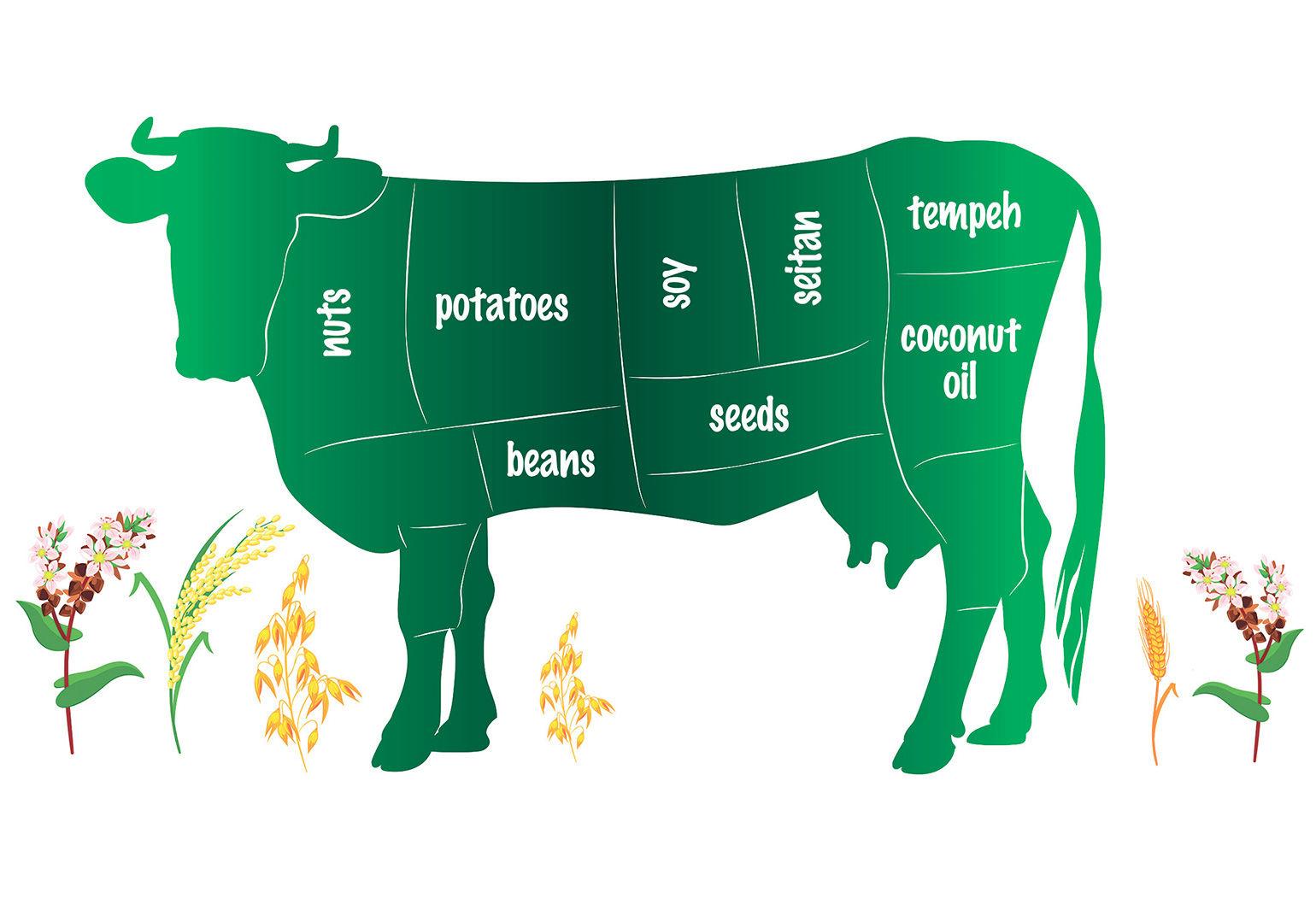 The replacements Plantbased meats hit the mainstream Reviews