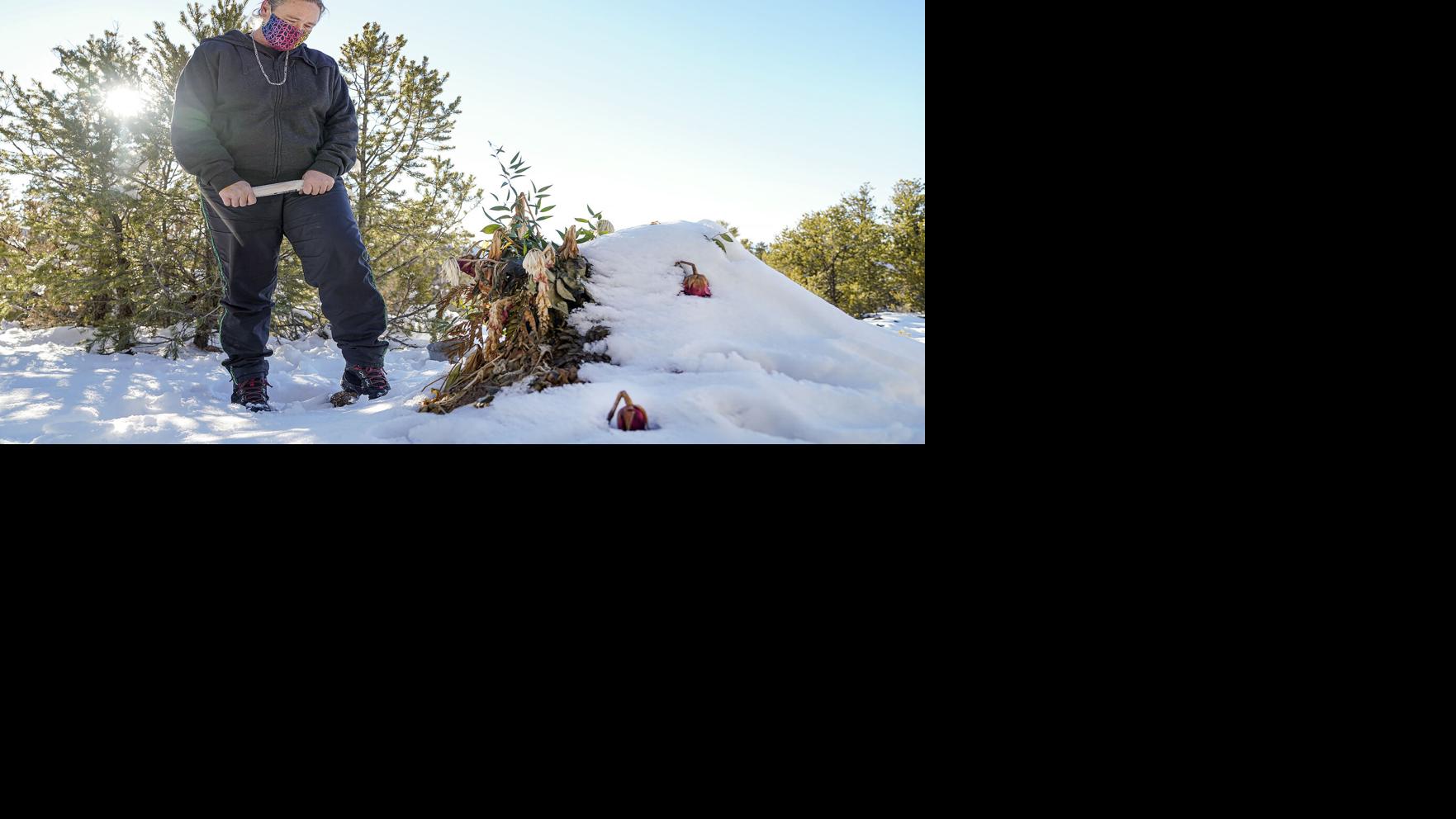 A mother’s battle for residence burial in Northern New Mexico | Neighborhood News