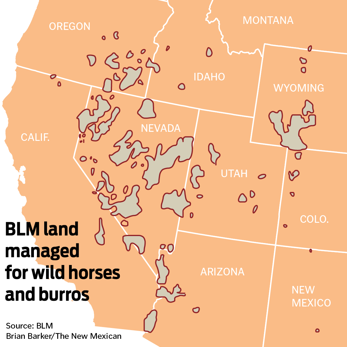 New BLM initiative to control wild horse population stirs controversy ...