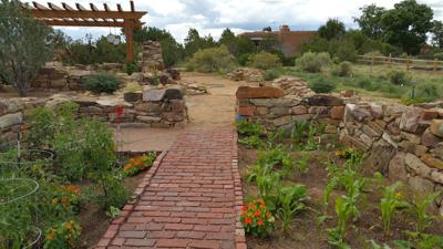 Permaculture in Practice: Native challenges and gardening wisdom