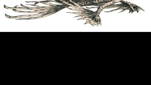 Black Arts The Strange World Of Dr Spencer Black Books