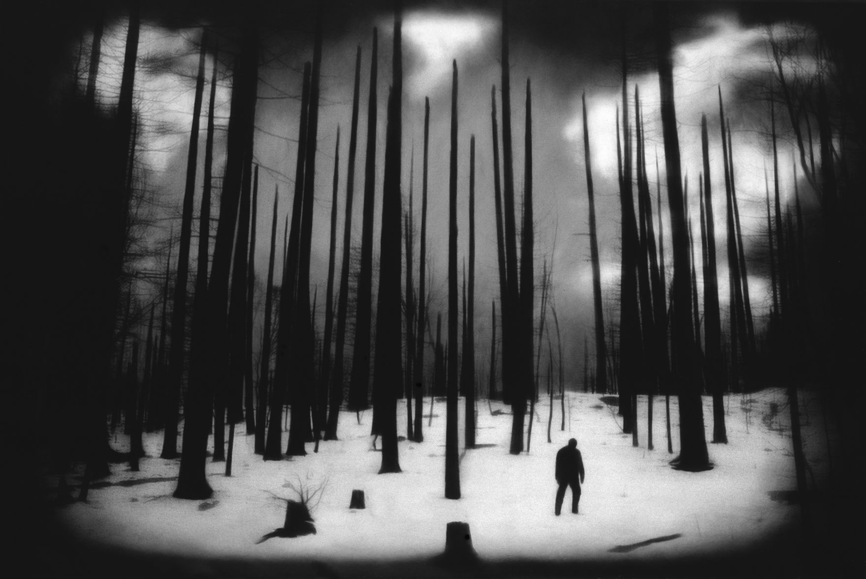 I am a camera: Photographer Rocky Schenck | Art