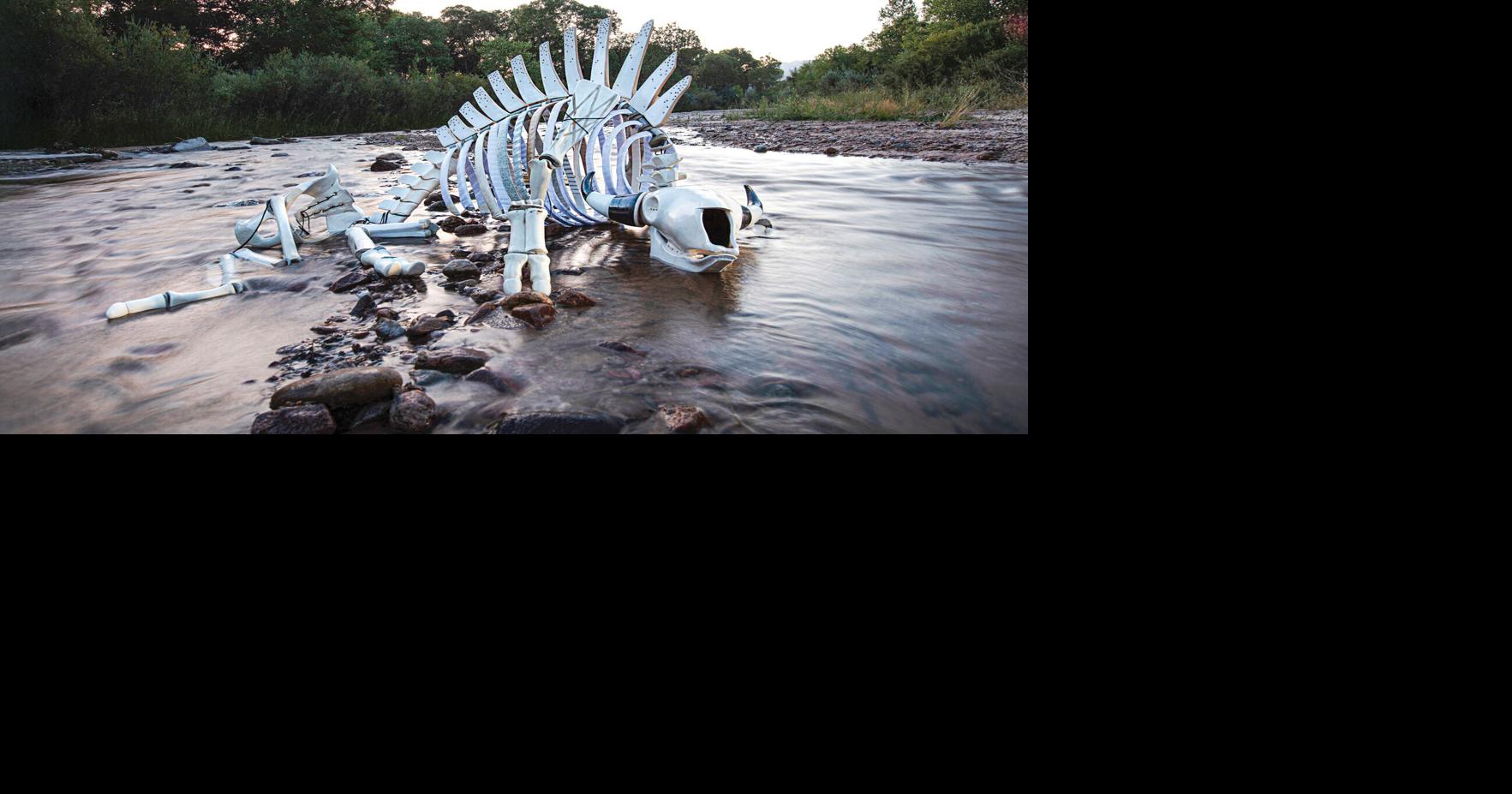 Cannupa Hanska Luger's work meditates on possibilities