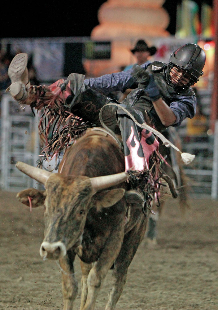 Miniature bull riding draws small riders, bigger crowds [with video ...