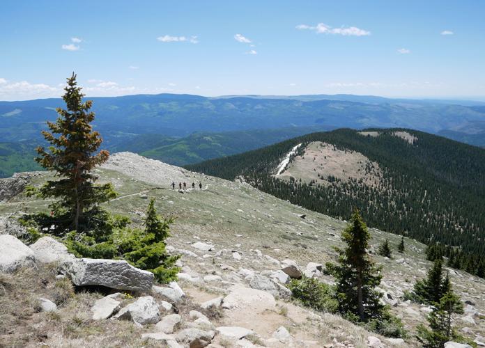 Baldy1.jpg