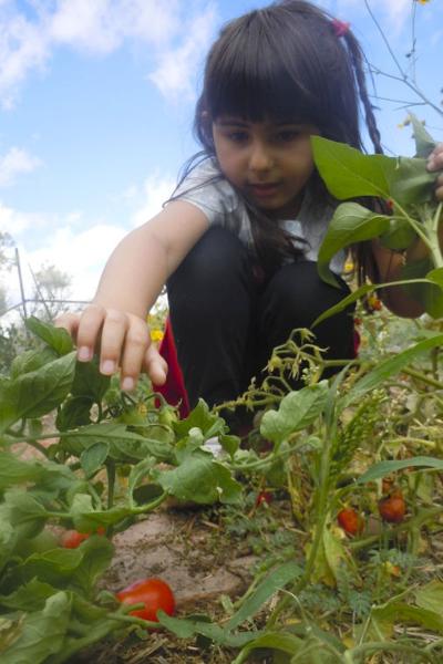 Camps For Kids Kids Summer Santafenewmexican Com