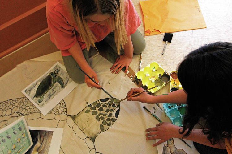 Wood Gormley Elementary students create immersive oasis Education