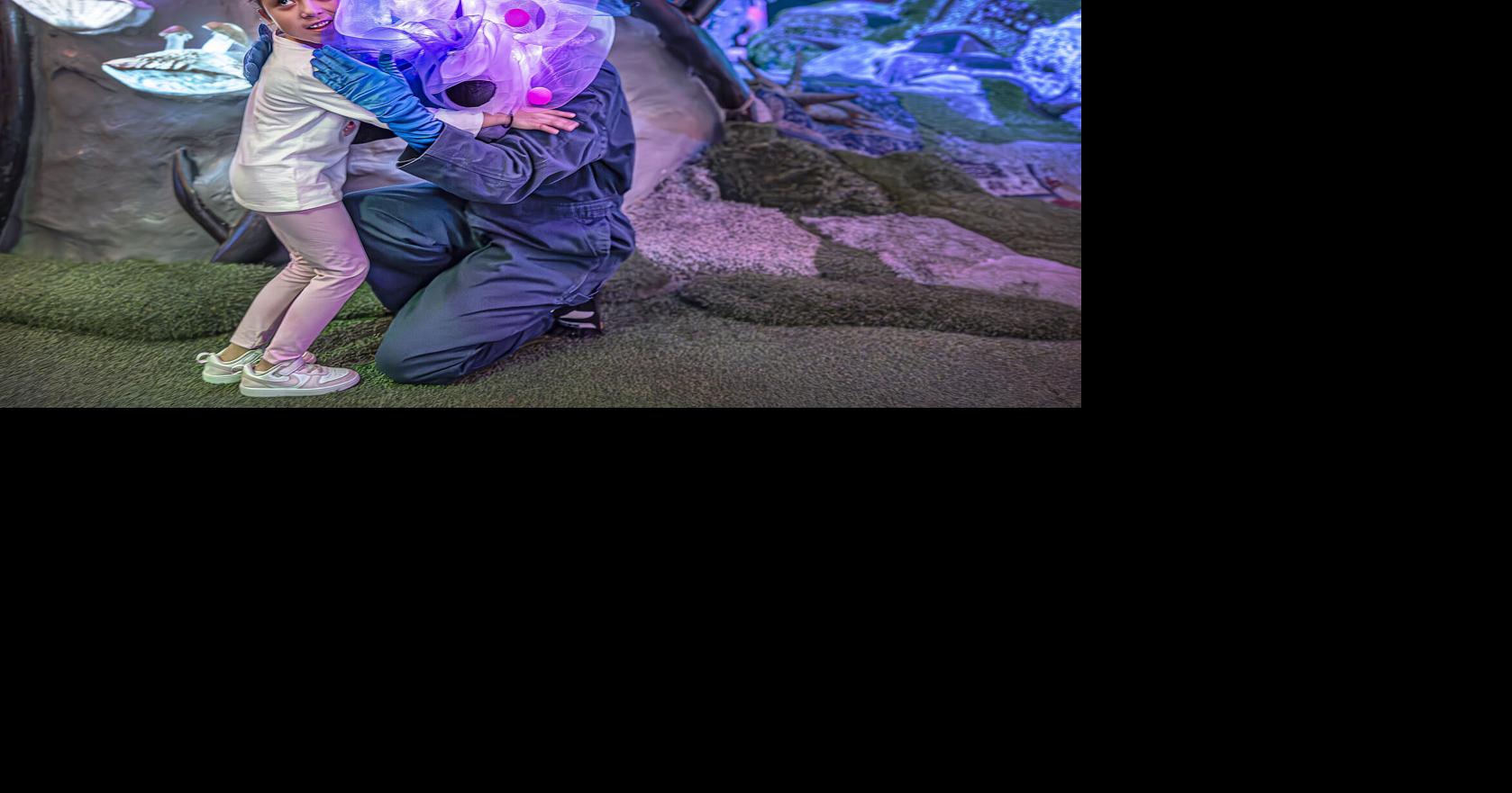 Meow Wolf, marking 10 years of pioneering art, is poised for more impact