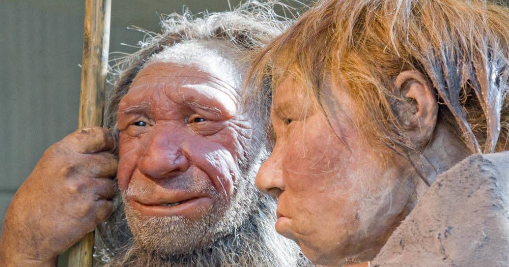 For ancient cannibals, fellow hominins weren’t a great meal | News ...