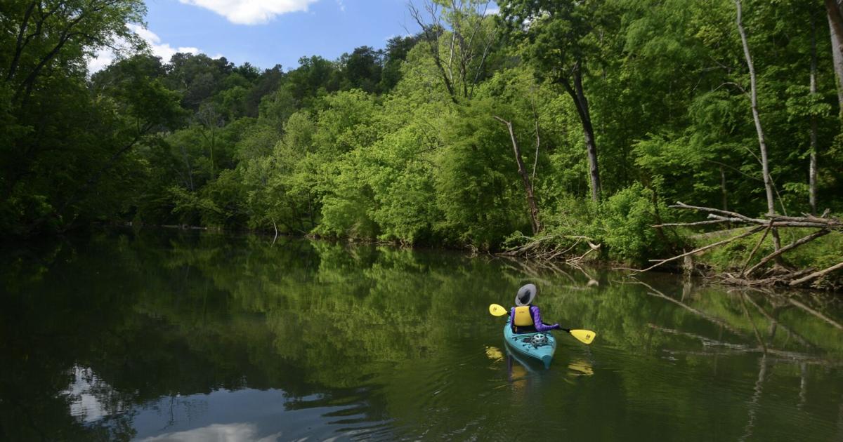 Georgia Canoe Rides Dec. 3 - Annual canoe/kayak adventure, Paddle Georgia, to stroke ...