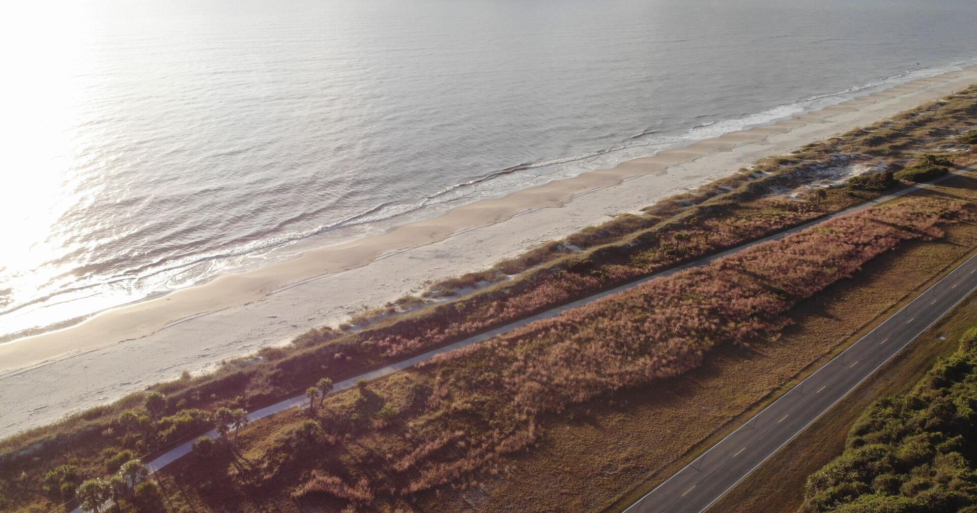 July 25 - Georgia Audubon Receives Grant for Expanded Habitat Restoration Work on Jekyll Island - Vimarsana News