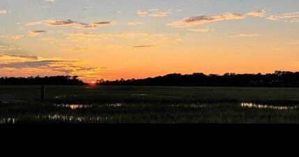 Jan. 24 - Beaufort County Council invites volunteers to serve on Green Space Advisory Committee - Vimarsana News