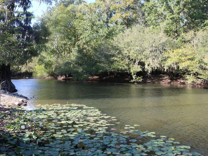 April 8 River Network establishes Ogeechee River Water Trail