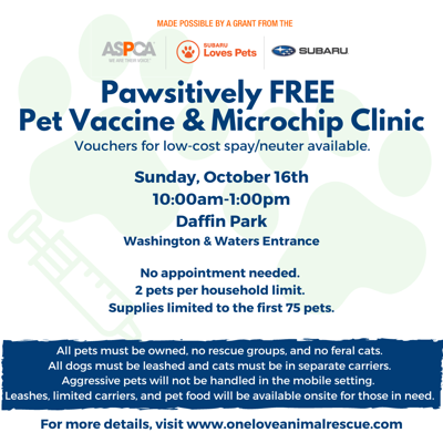 Oct. 7 One Love Animal Rescue to host free pet vaccination event
