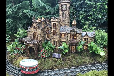 New York Botanical Gardens train show photo