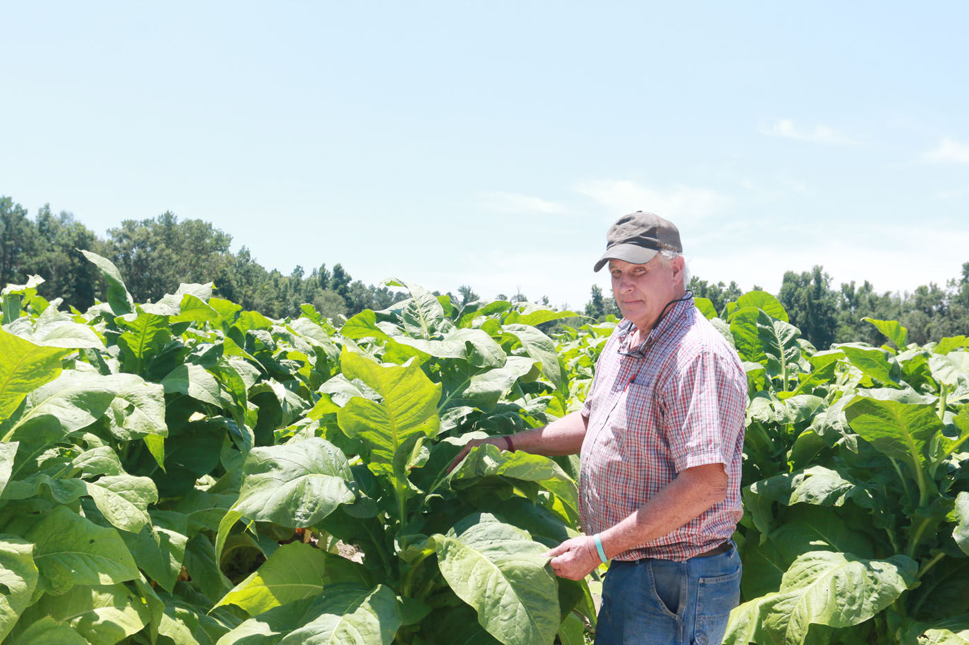 Three generations of family guide Atkinson s Farms in Mullins