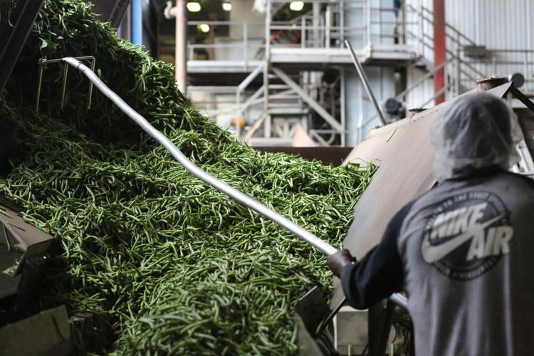 McCall Farms cans food produced by SC growers