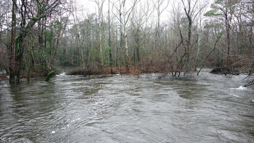 Lynches River expected to flood Effingham neighborhoods
