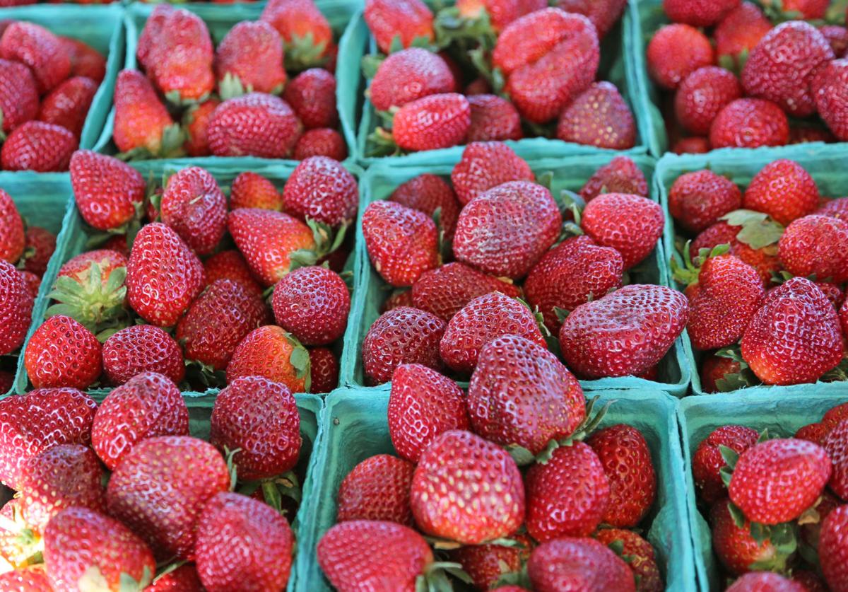 Strawberries are here Gallery