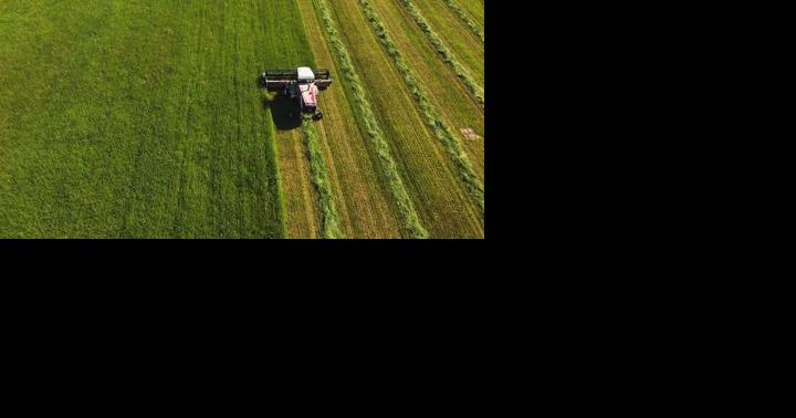 Clemson announces 2023 Corn and Soybean Growers Meeting - Vimarsana News