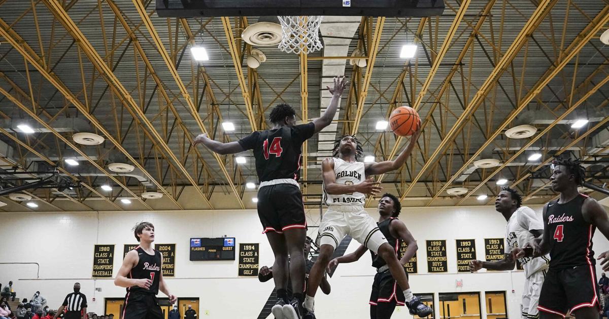 TUESDAY'S PREP BASKETBALL ROUNDUP Johnsonville's Lewis reaches pair of