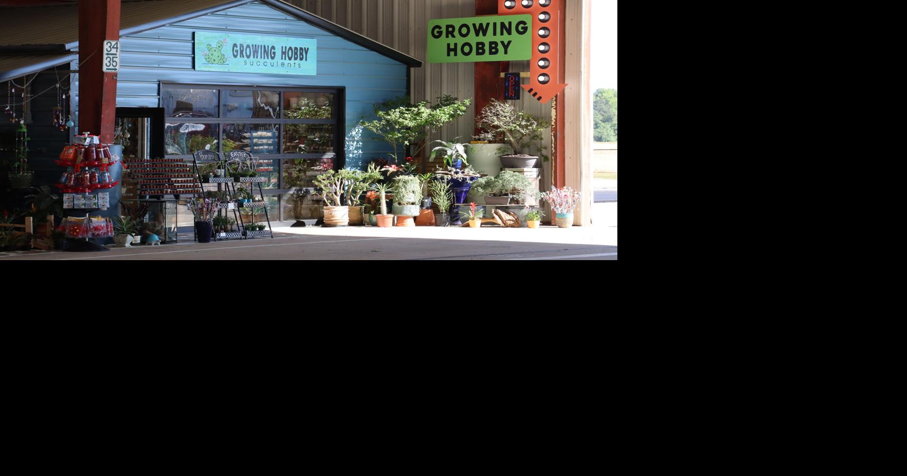 farmers’ market plant shop growing