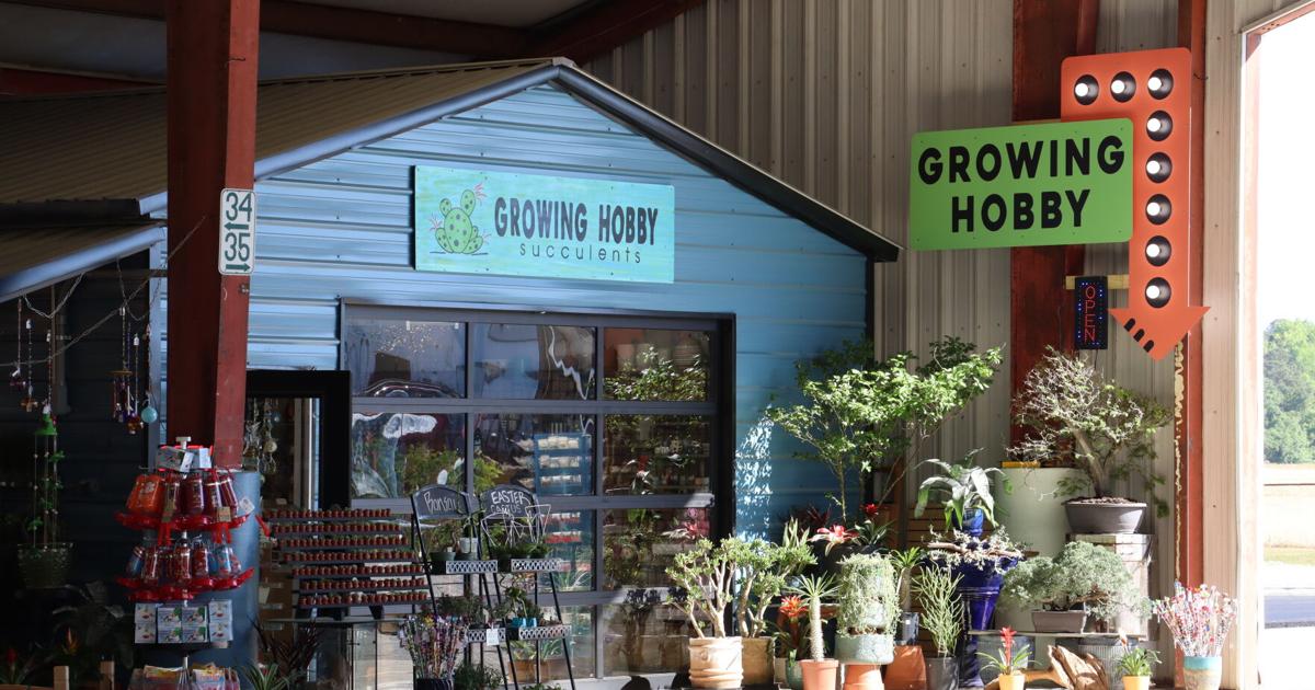 Shop Growing farmers’ market plant shop growing