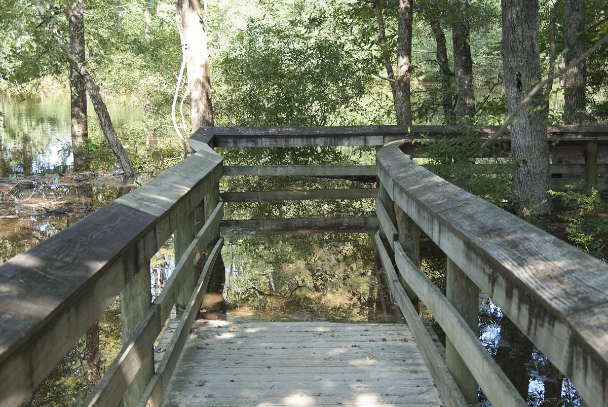 Lynches River Rising News