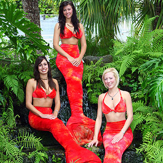 Ripley S Aquarium To Host World Famous Weeki Wachee Mermaids In July Ripley S Aquarium To Host World Famous Weeki Wachee Mermaids In July