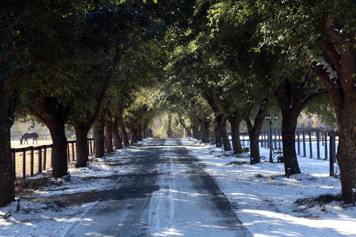 Glenview Farm offers setting for events, weddings Business News