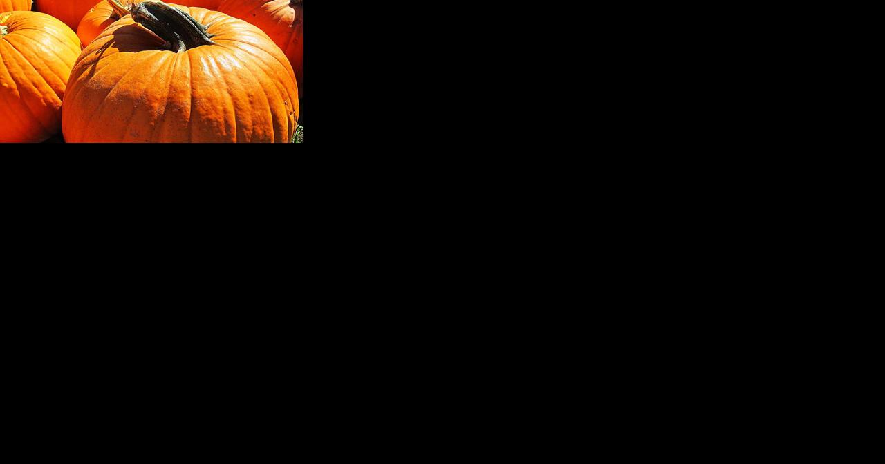 Fall Plant and Flower Festival starts Sept. 29 - Vimarsana News