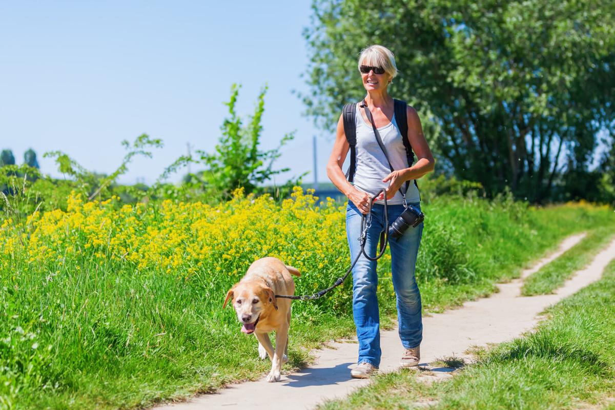 Botanical Gardens--The Hidden Gems of Pet-Friendly Activities (image)