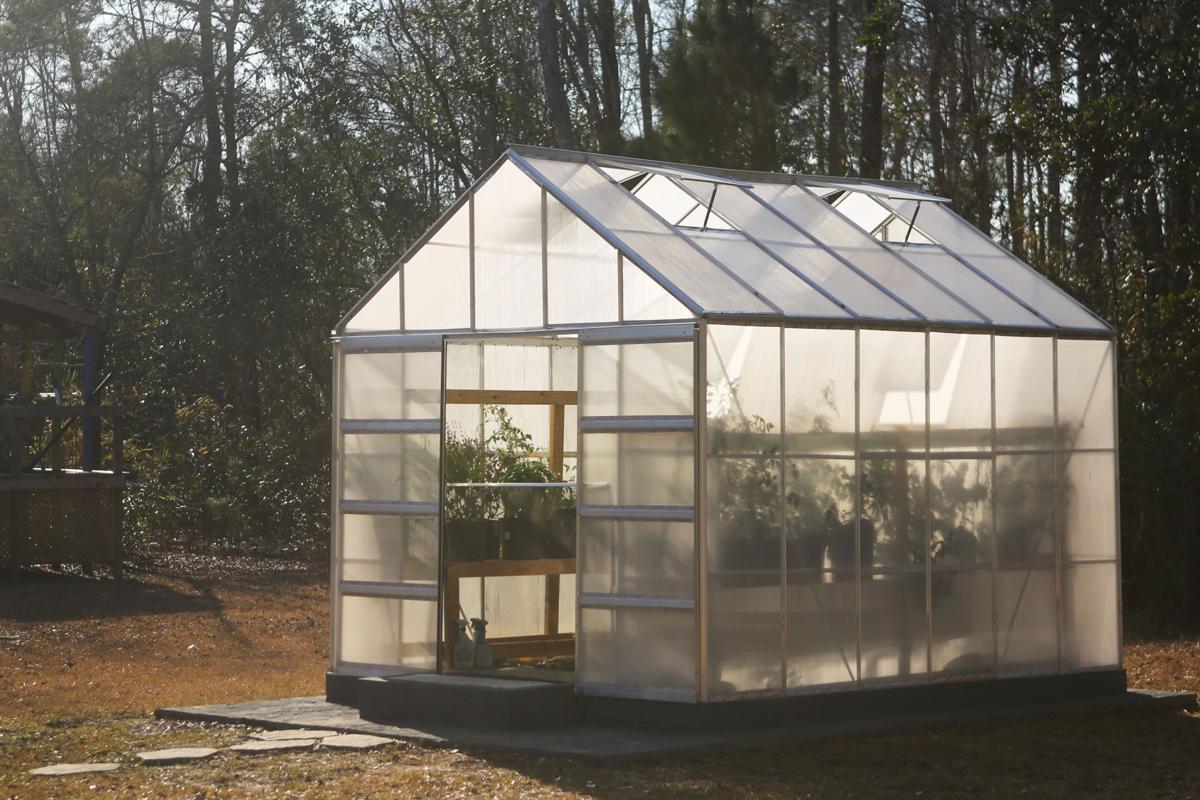 The 1 000 Tomato Building A Greenhouse Is Costly But You Get