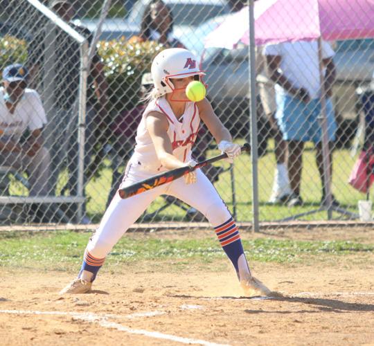 Marion vs. Andrew Jackson Softball Playoffs