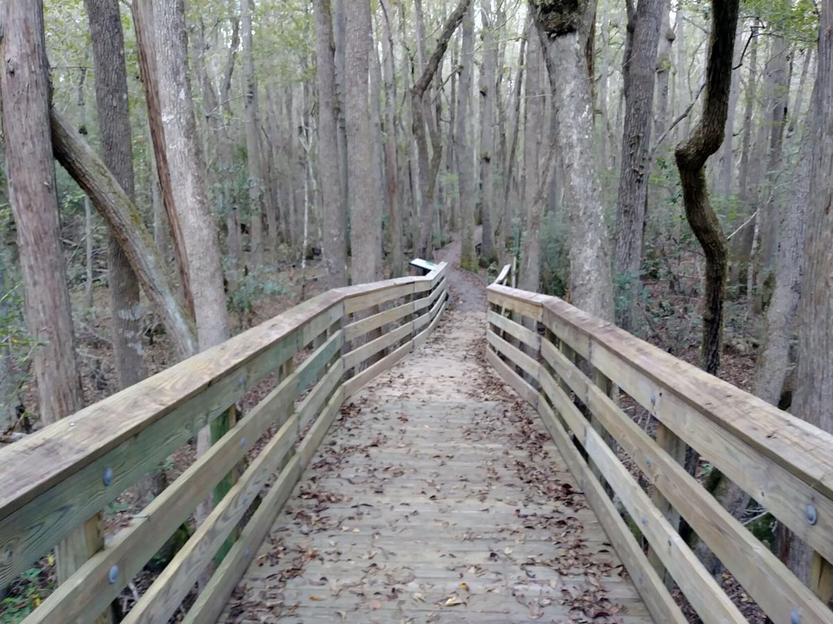 Kalmia Gardens
