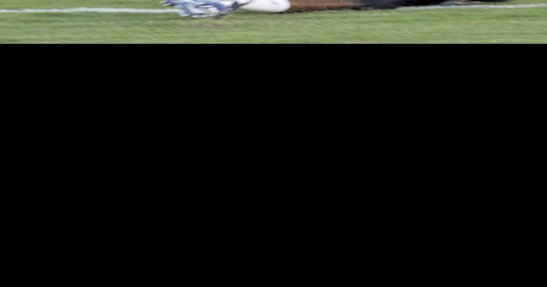 Many questions answered at Florence Jamboree