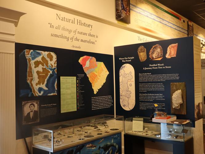 MUSEUM 2