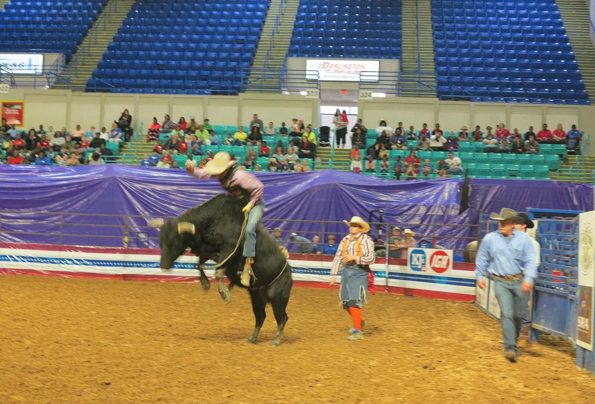 Children with special needs treated to rodeo in Florence News