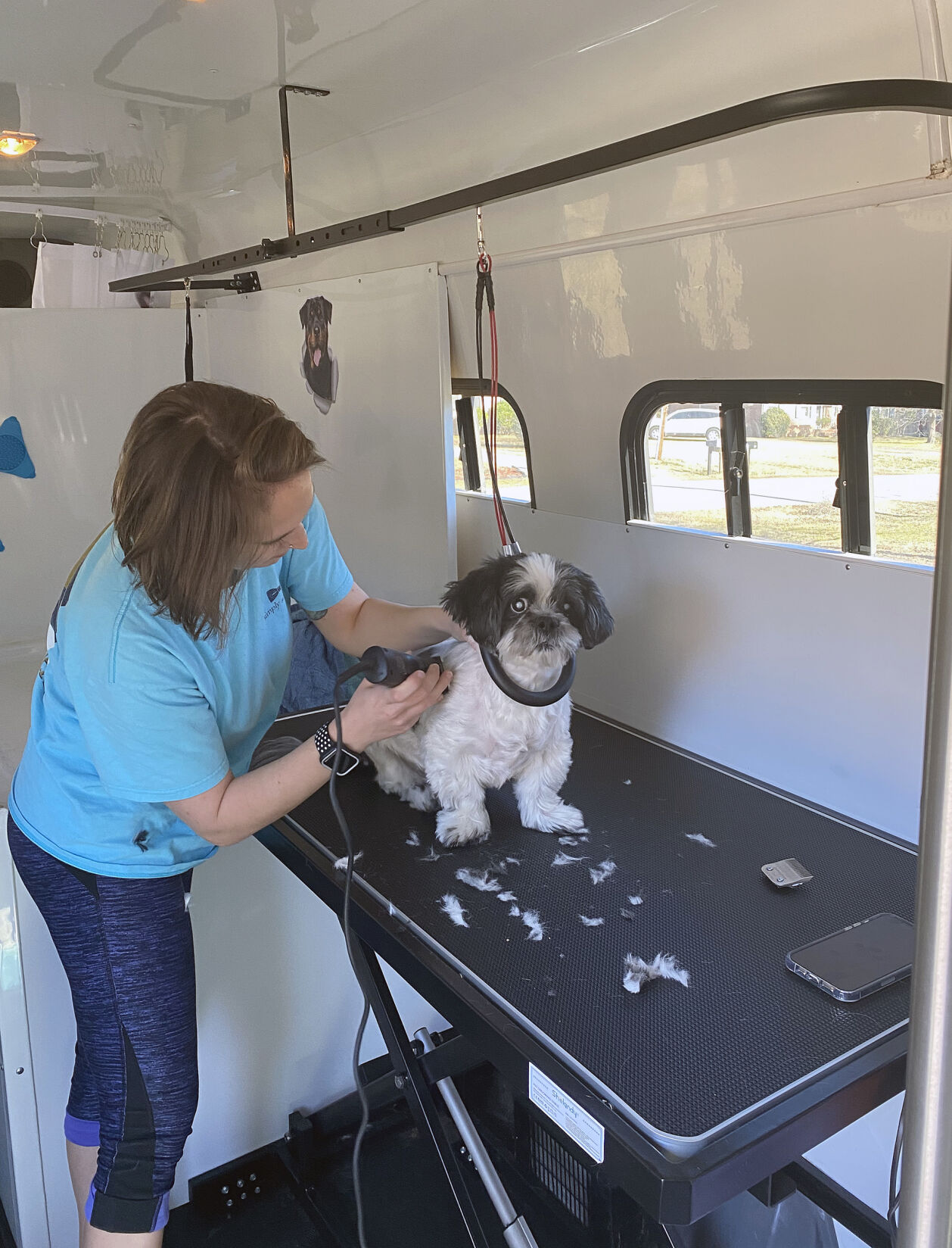 Pampered pups mobile pet clearance spa