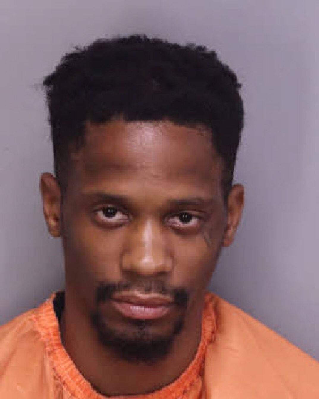 Society Hill man accused of stealing van in Florence