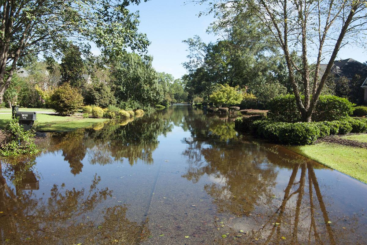 One Florence county stream crests, another set to flood this weekend