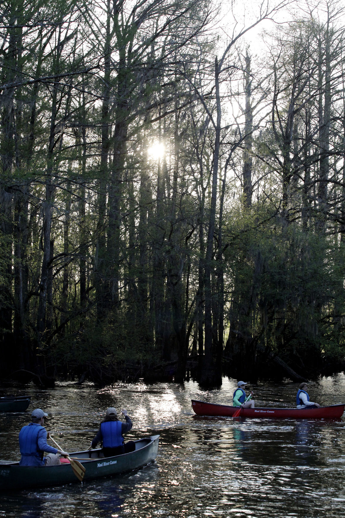 River Jamboree set for Saturday at Lynches River Park Local News