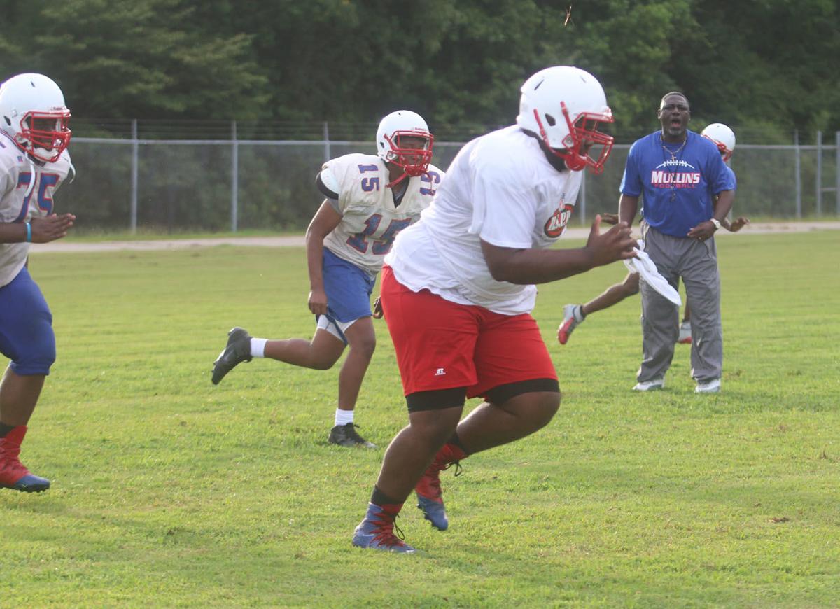 Mullins Auctioneers return with experience, high expectations Sports