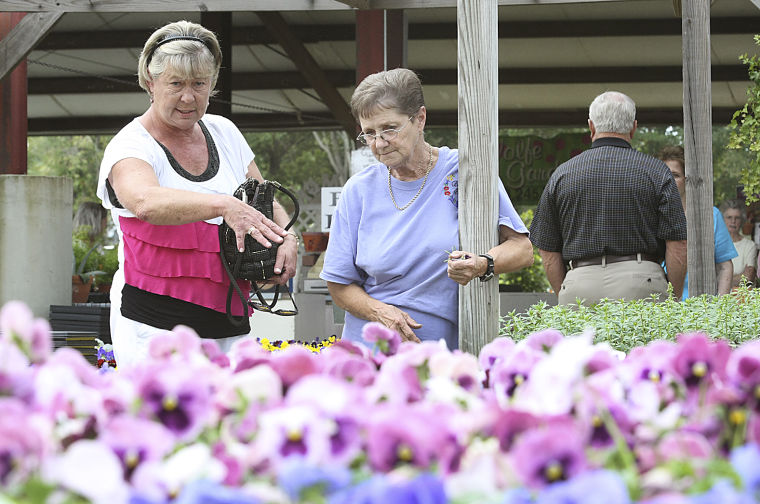 Pee Dee Fall Plant and Flower Festival Featured