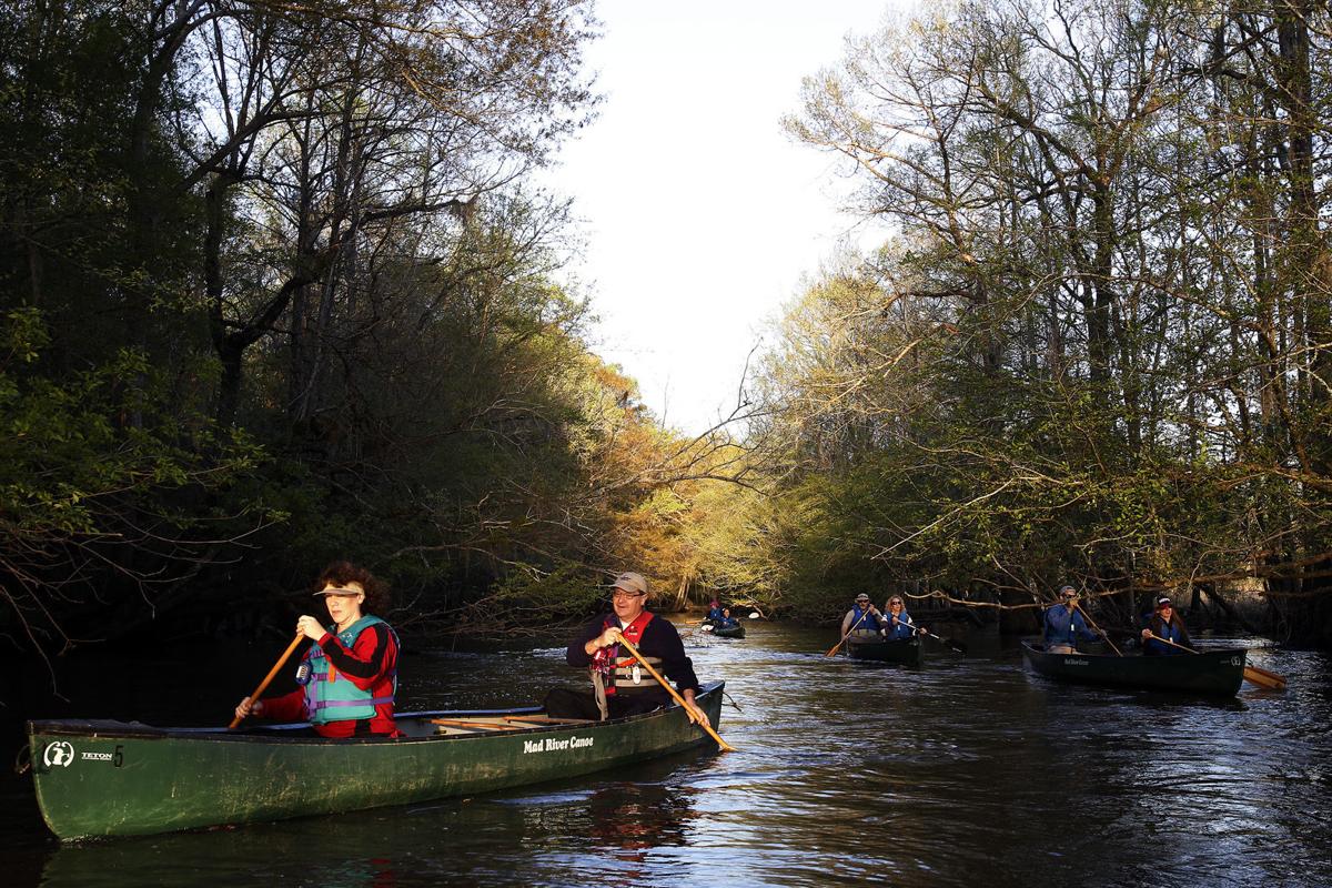 Lynches River Moonlight Canoe Paddle Featured
